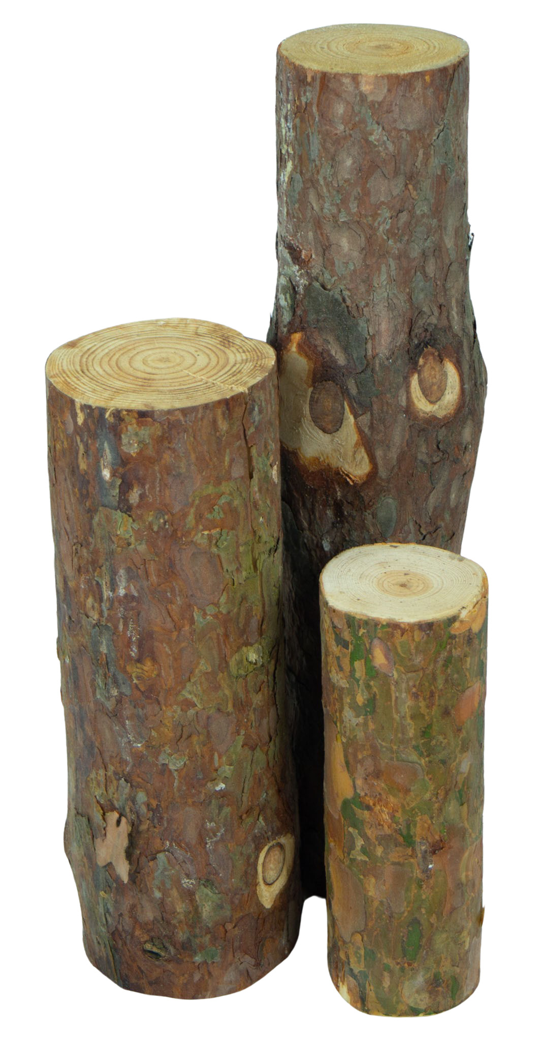 3er Set Deko-Baumstämme versch. Sorten