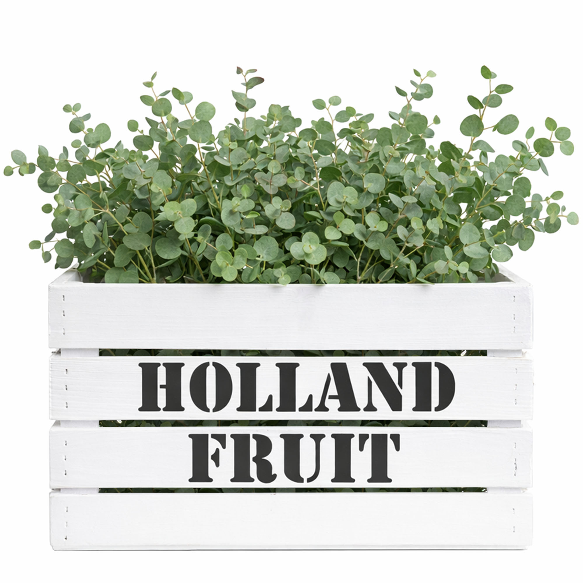 Obstkiste HOLLAND FRUIT Weiss