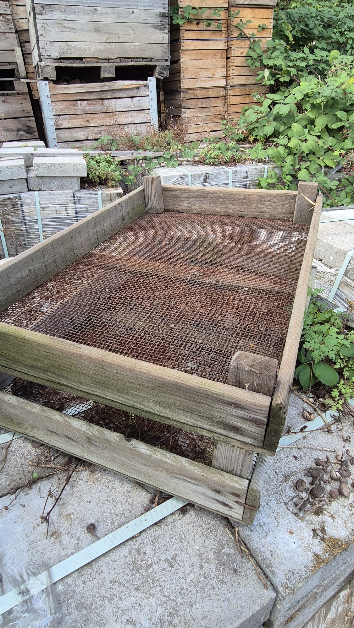 B-Ware Tulpen Zwiebelsieb 75x51x9cm Steigen Nüsse und Obst Trockensiebe