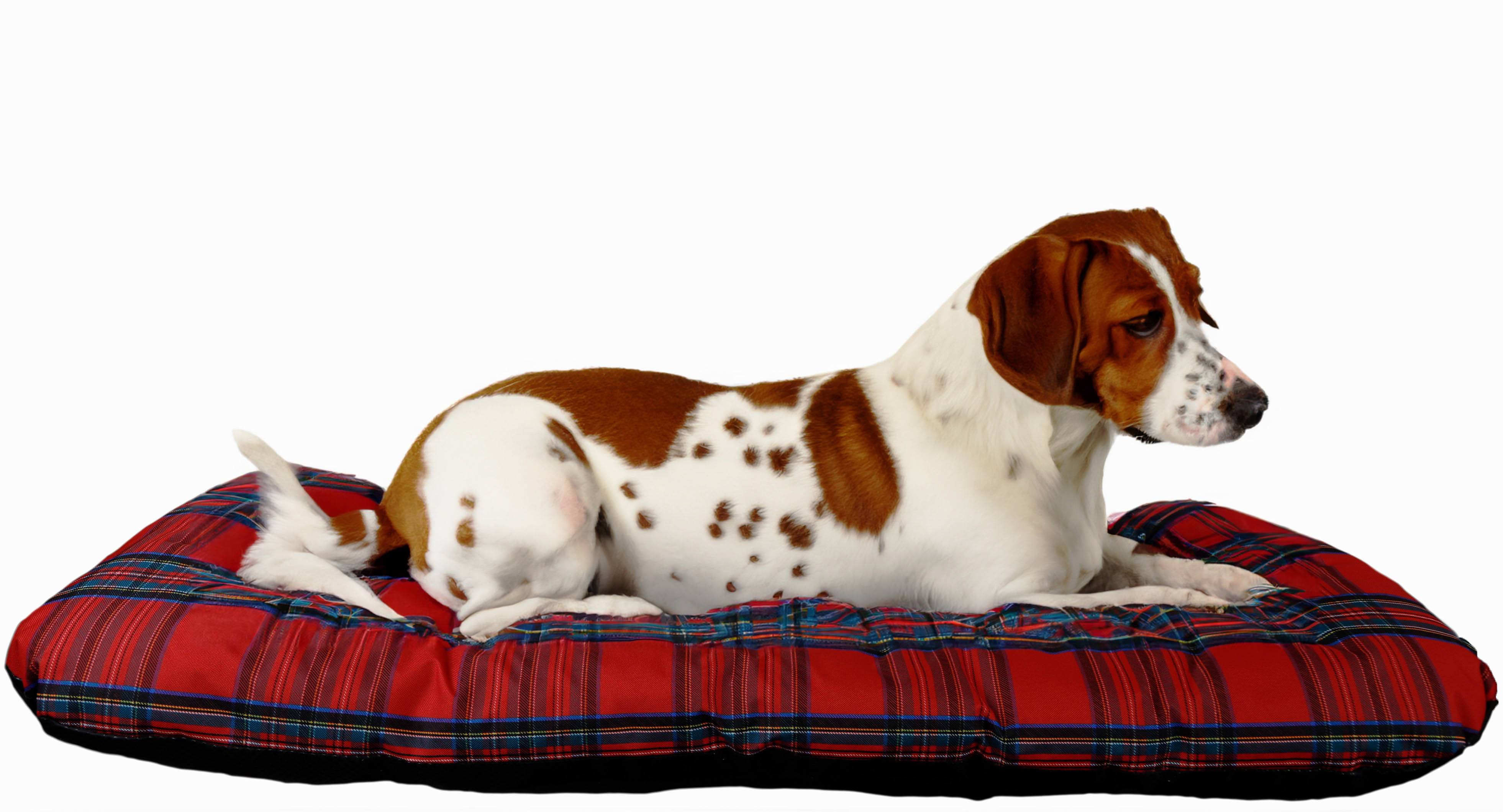 Hundebett Winston XXL in geflammt mit Füßen optional mit Kissen 100x55x25cm Coussin seul rouge