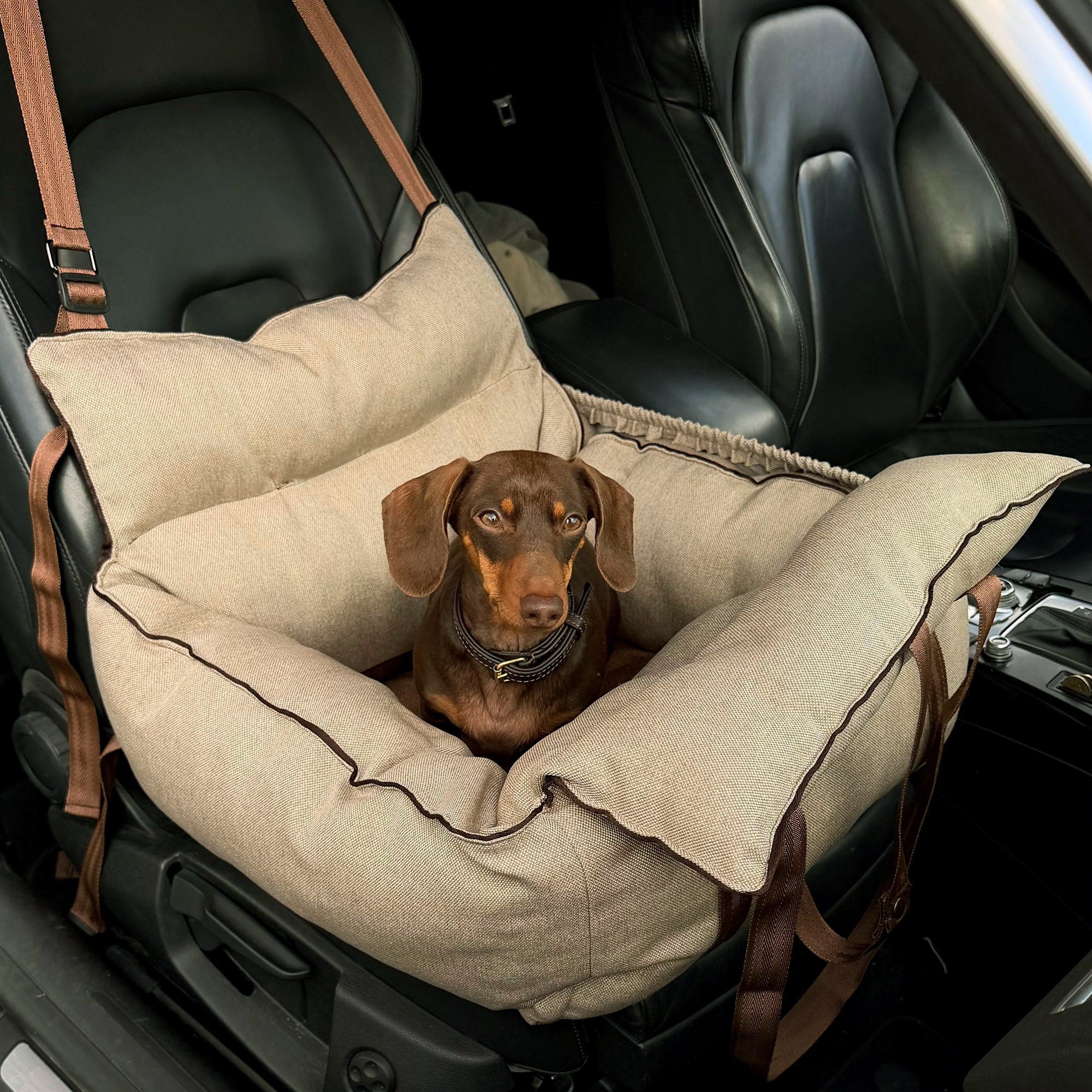 Hundeautositz für kleine Hunde – universell passend, gepolstert & waschbar Beige / Braun