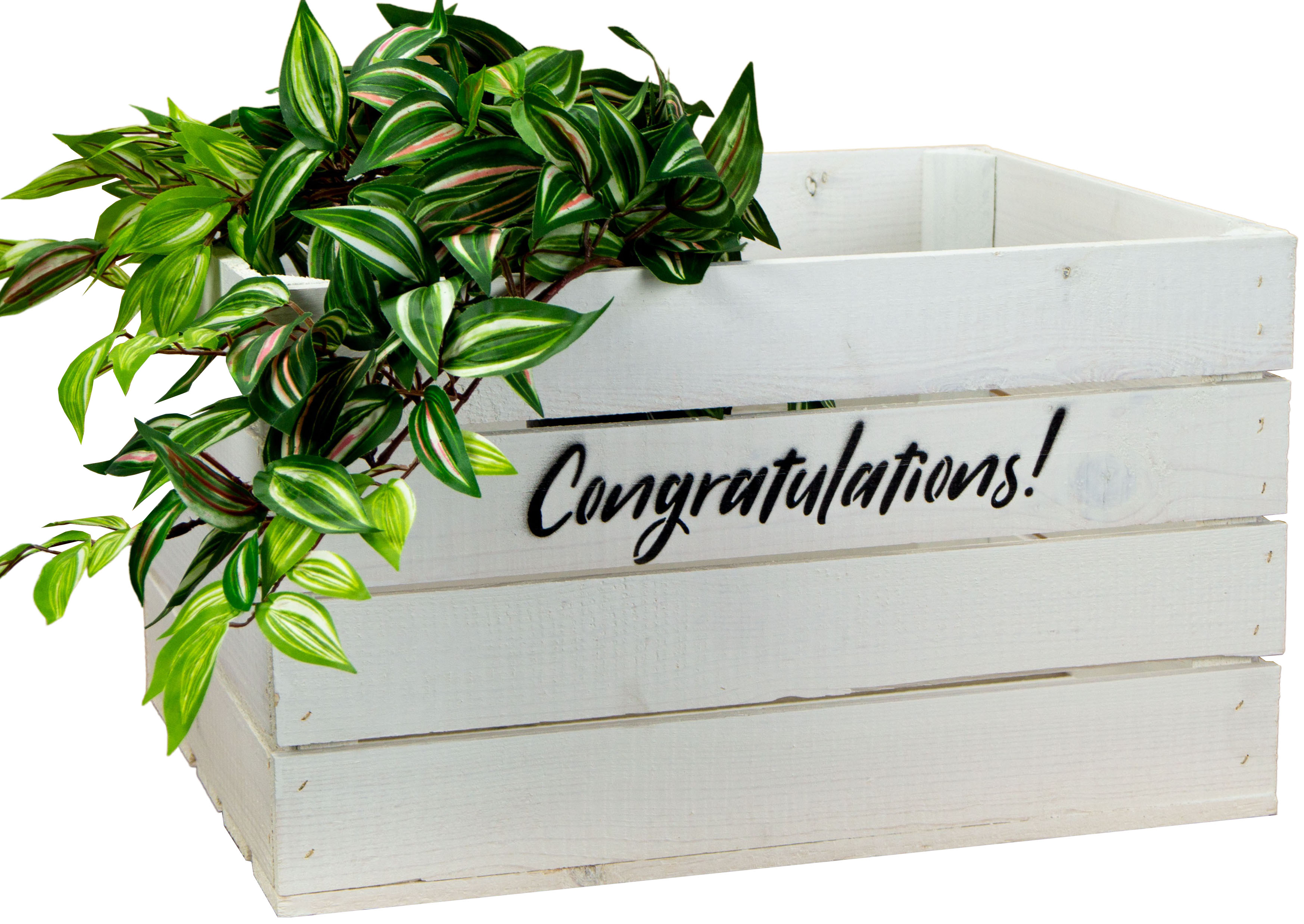 Holzkiste Johanna weiss "Congratulations"