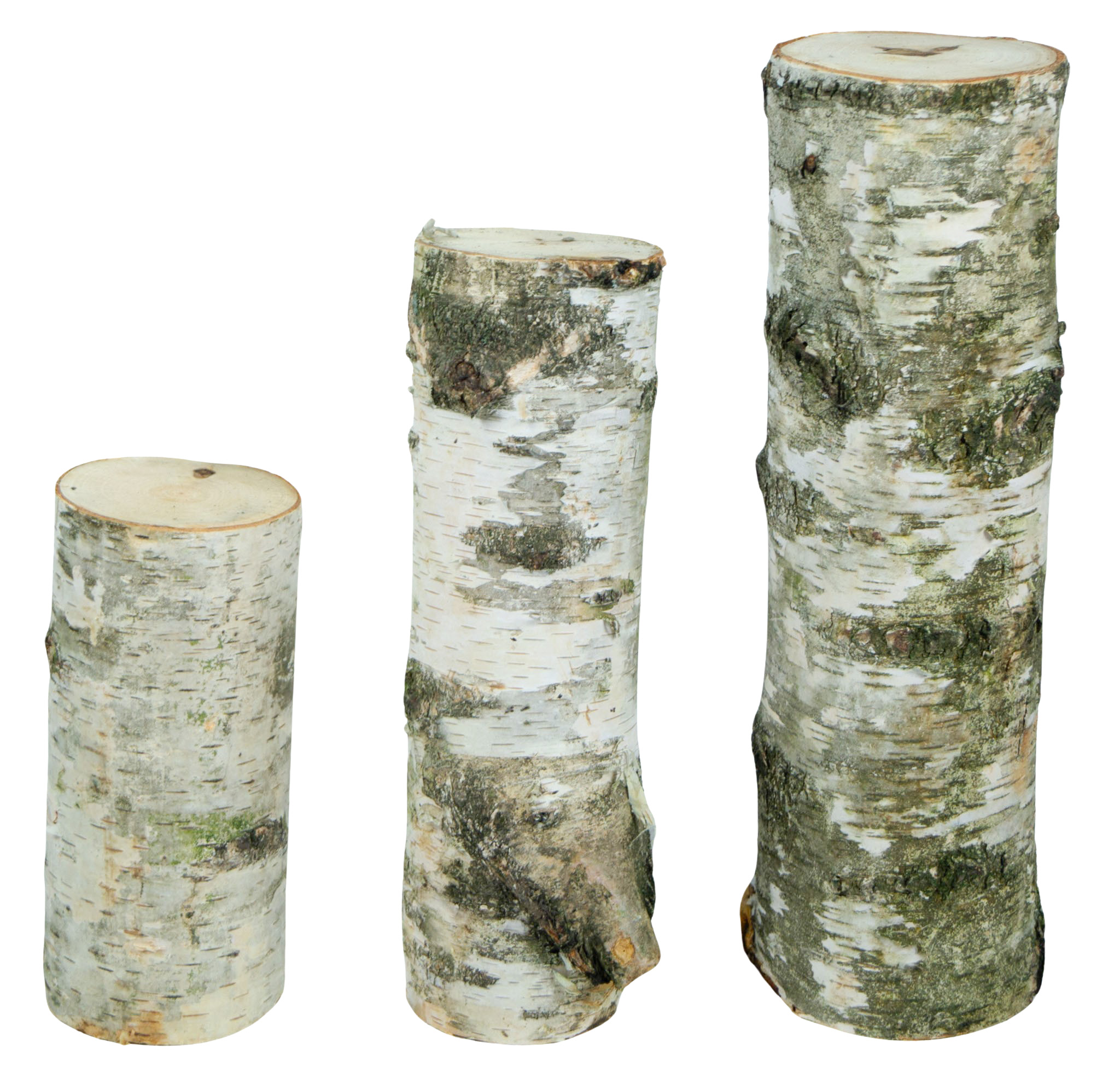 3er Set Deko-Holzstämme aus Tannenholz rustikale Vintage-Deko