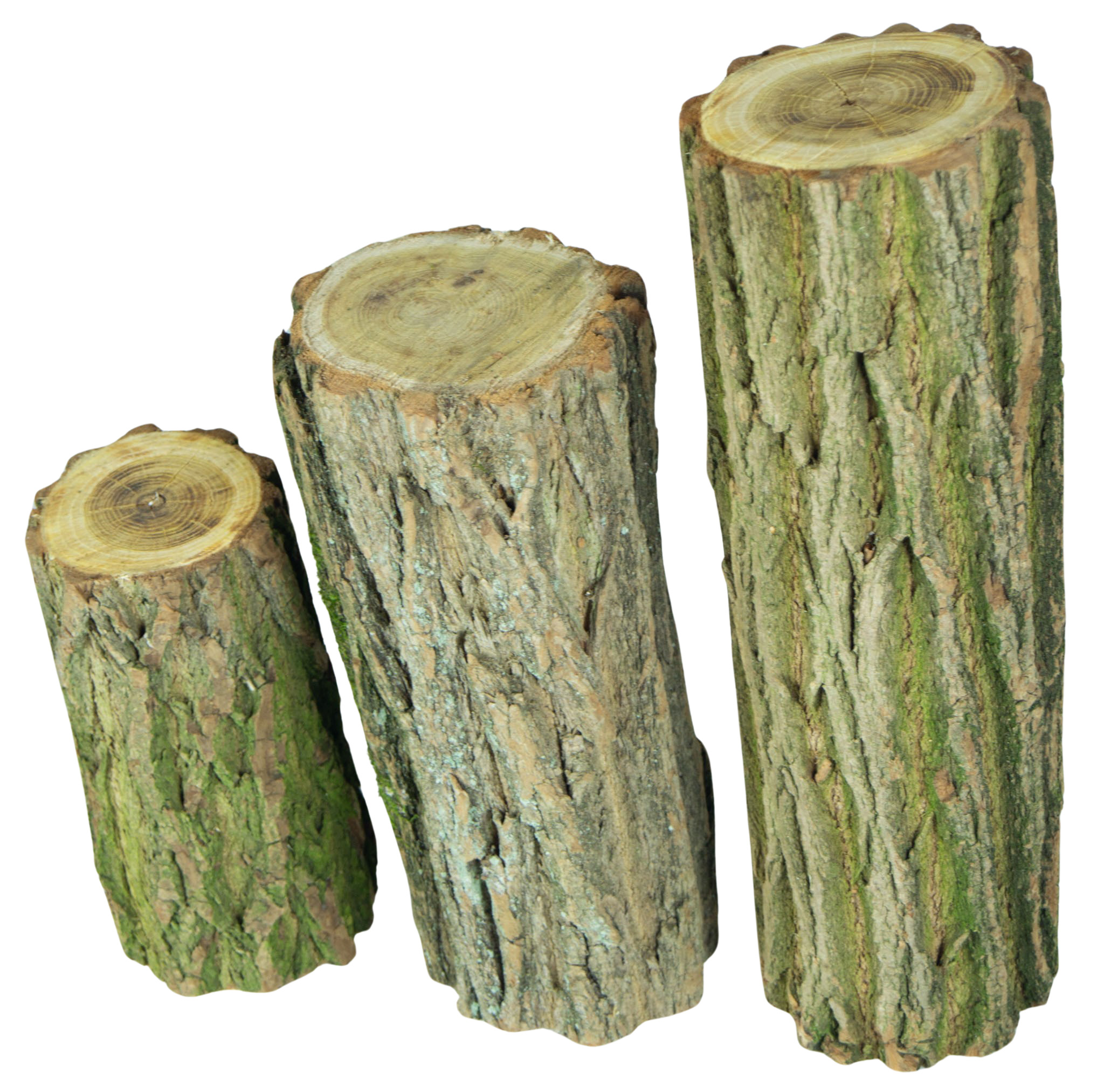 3er Set Deko-Holzstämme aus Eichenholz rustikale Vintage-Deko