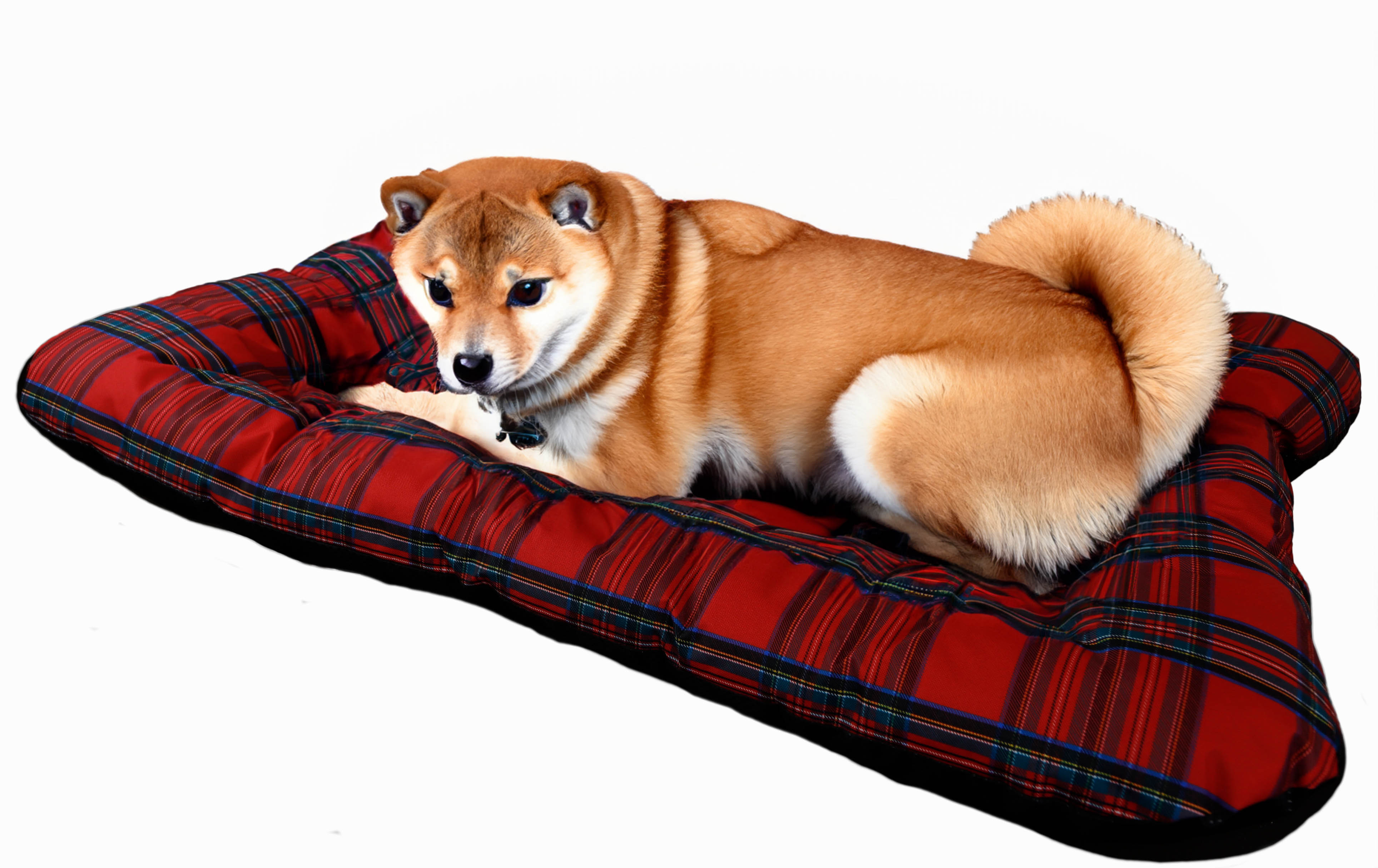 Hundebett Winston XXL in geflammt mit Füßen optional mit Kissen 100x55x25cm Coussin seul rouge