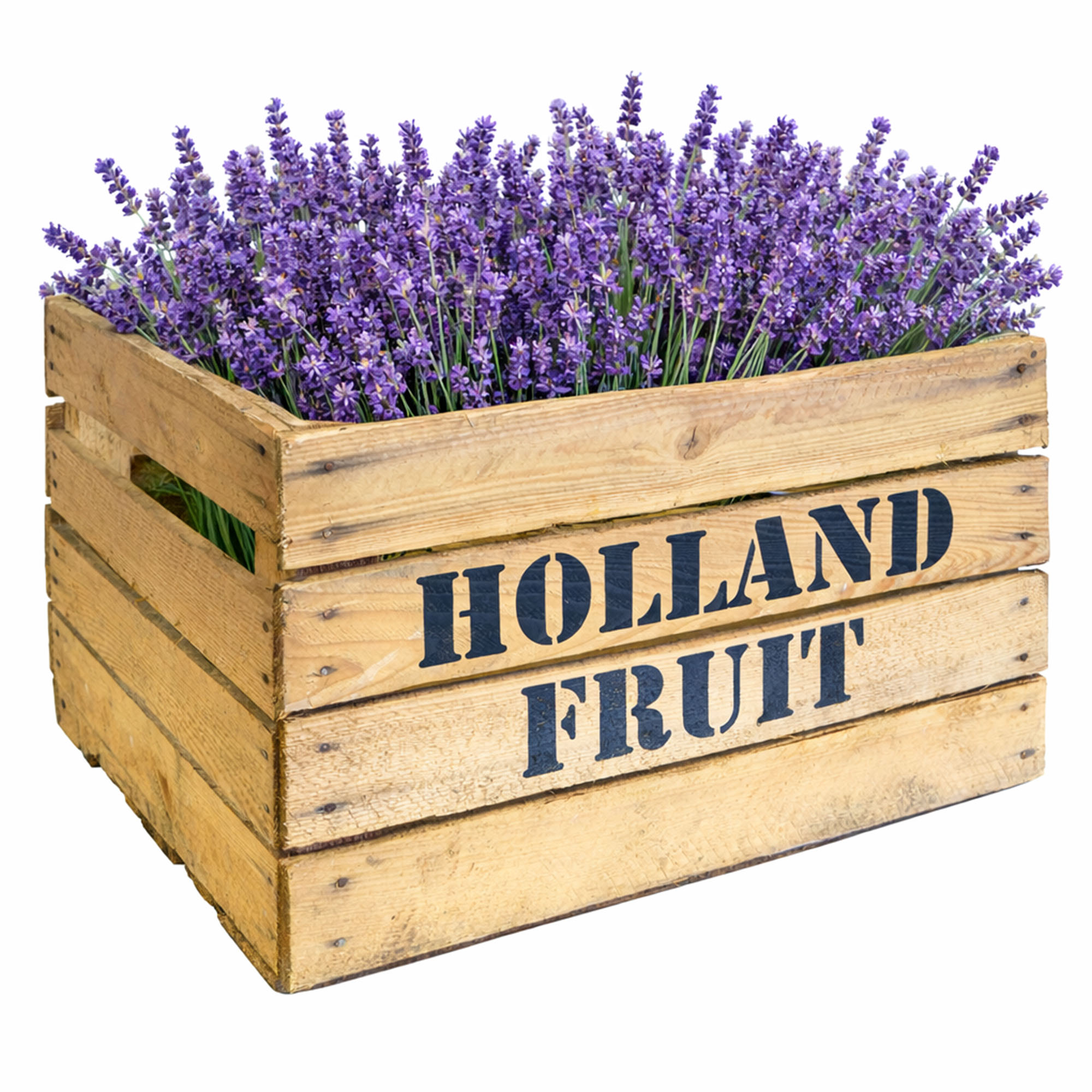 Obstkiste HOLLAND FRUIT Geflammt