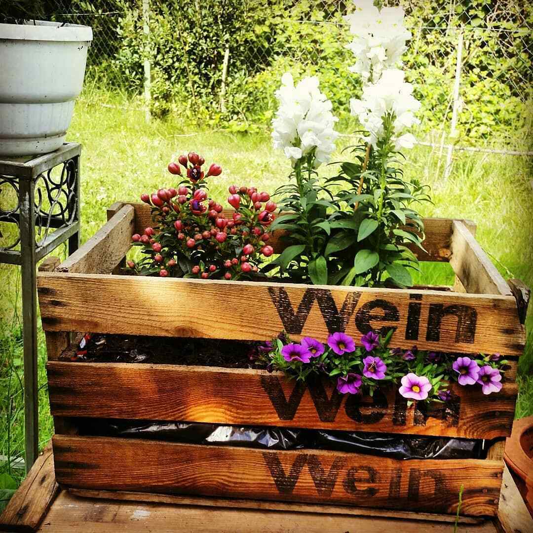 alte Weinkiste WEIN WEIN WEIN  2te Wahl