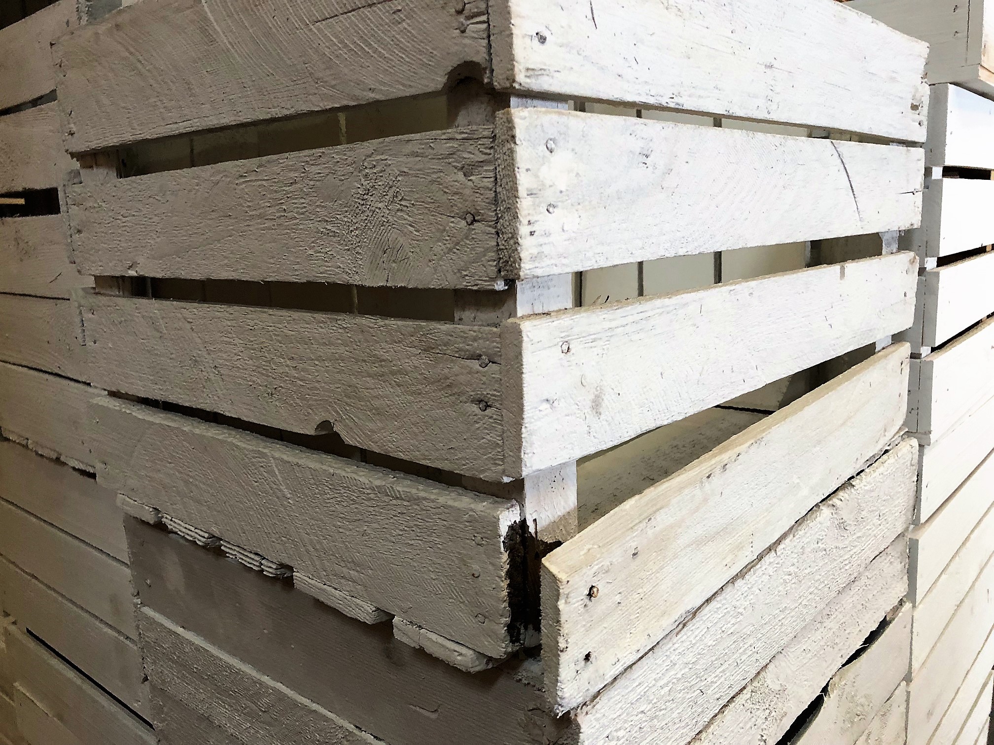 4 Stück B Ware gebrauchte weiße Obstkisten shabby white holzkisten Weinkisten