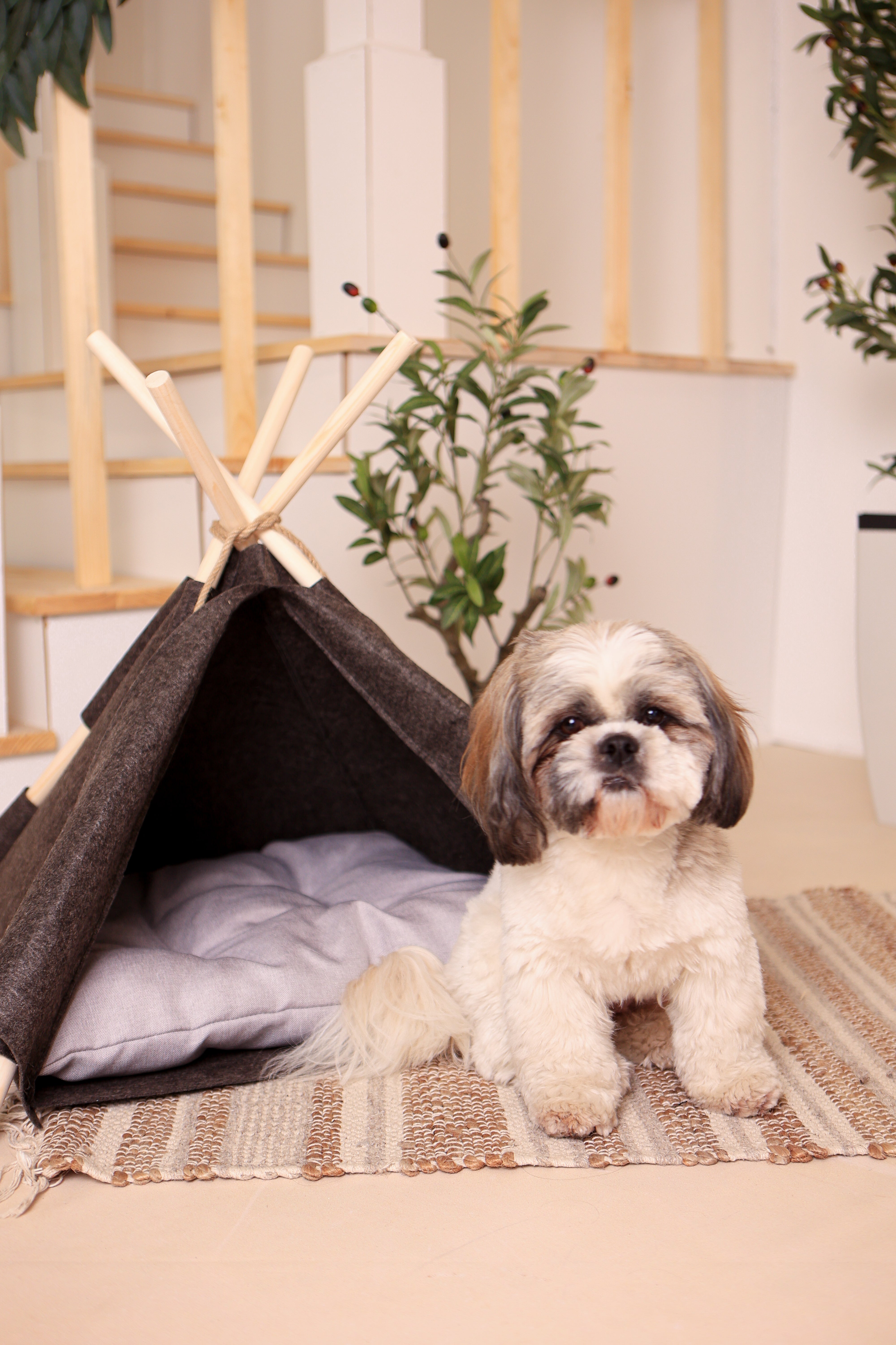 Wigwam für Hunde und Katzen – gemütliches Hundezelt & Katzentipi / Handgefertigte Hundehöhle, Hundehütte & Tierzelt für Haustiere