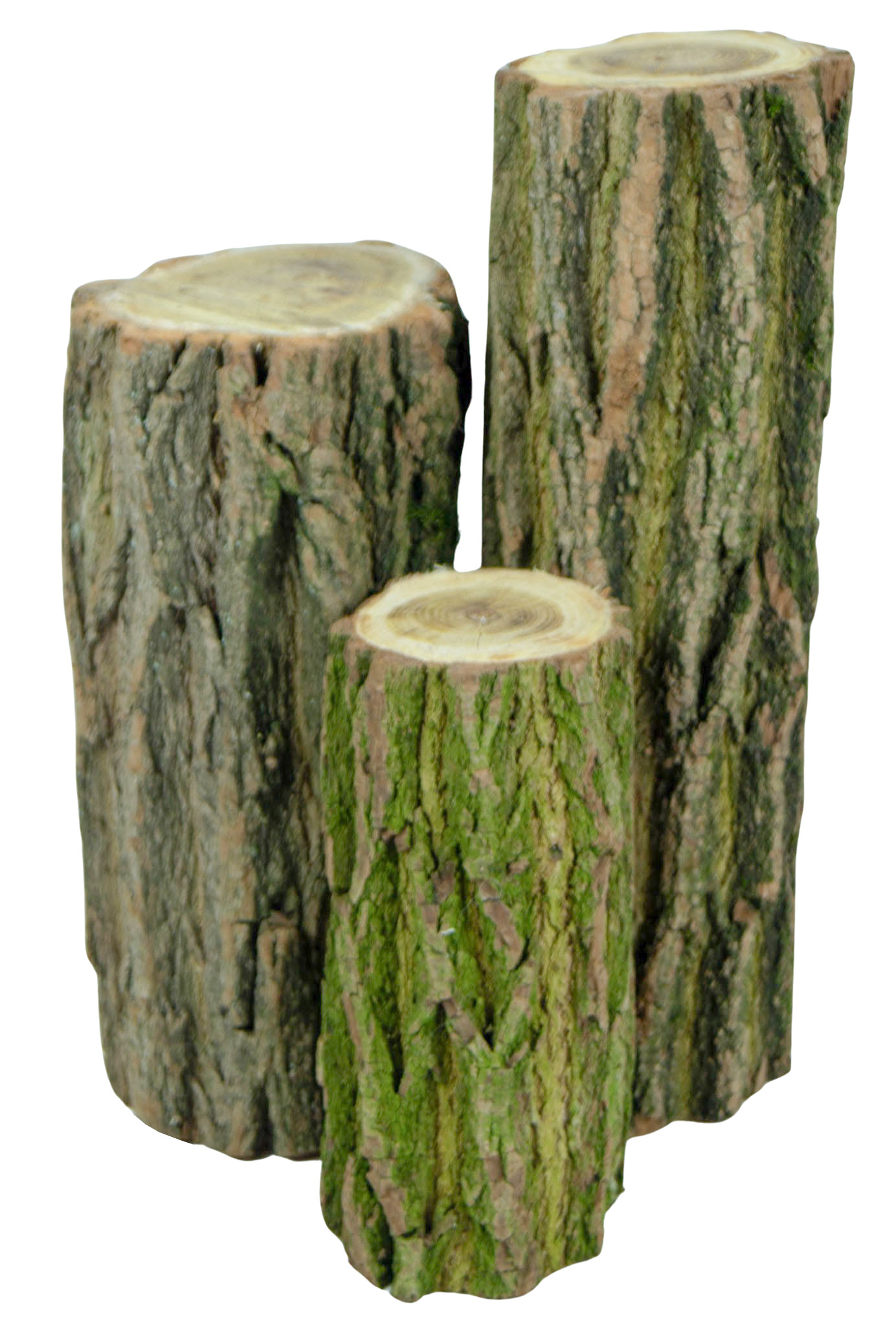 3er Set Deko-Holzstämme aus Eichenholz rustikale Vintage-Deko