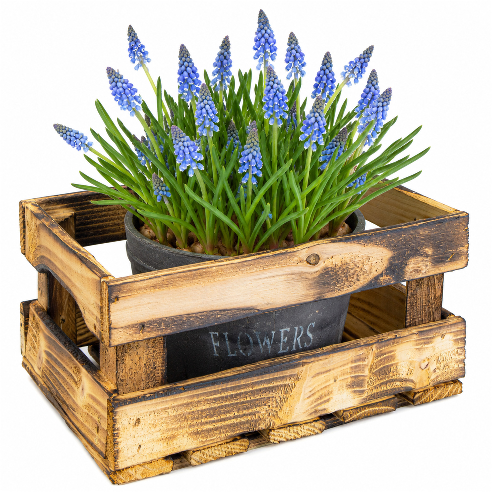 Holzkiste HENNE – Dekorative Aufbewahrungskiste aus Holz in Natur oder geflammt | 30 x 20 x 15 cm Geflammt