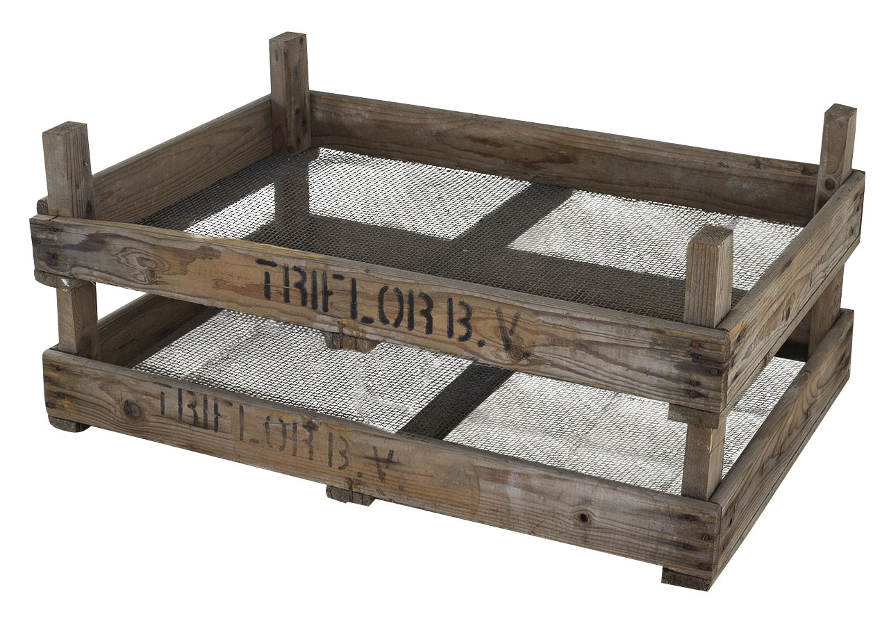 B-Ware Tulpen Zwiebelsieb 75x51x9cm Steigen Nüsse und Obst Trockensiebe