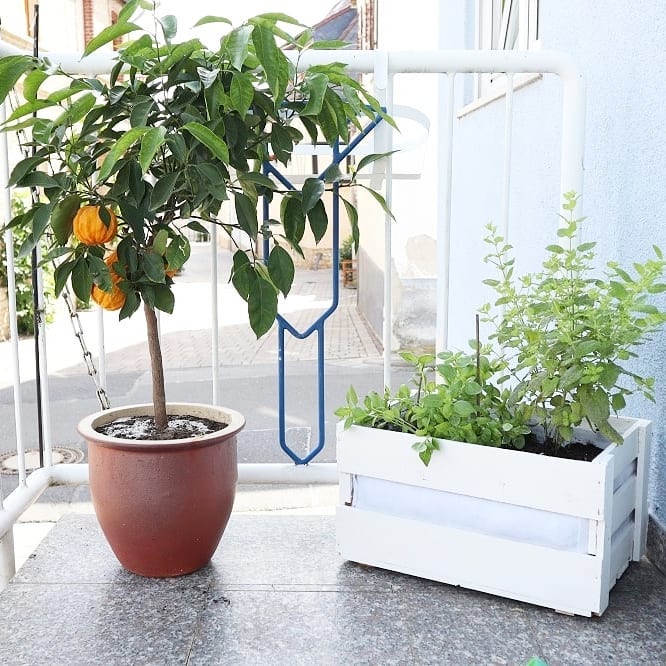 Neue Weinkisten Weiß ca 46 x 30,5 x 24cm Obstkiste Holzkiste Regalkiste Weinlagerung Weinregal