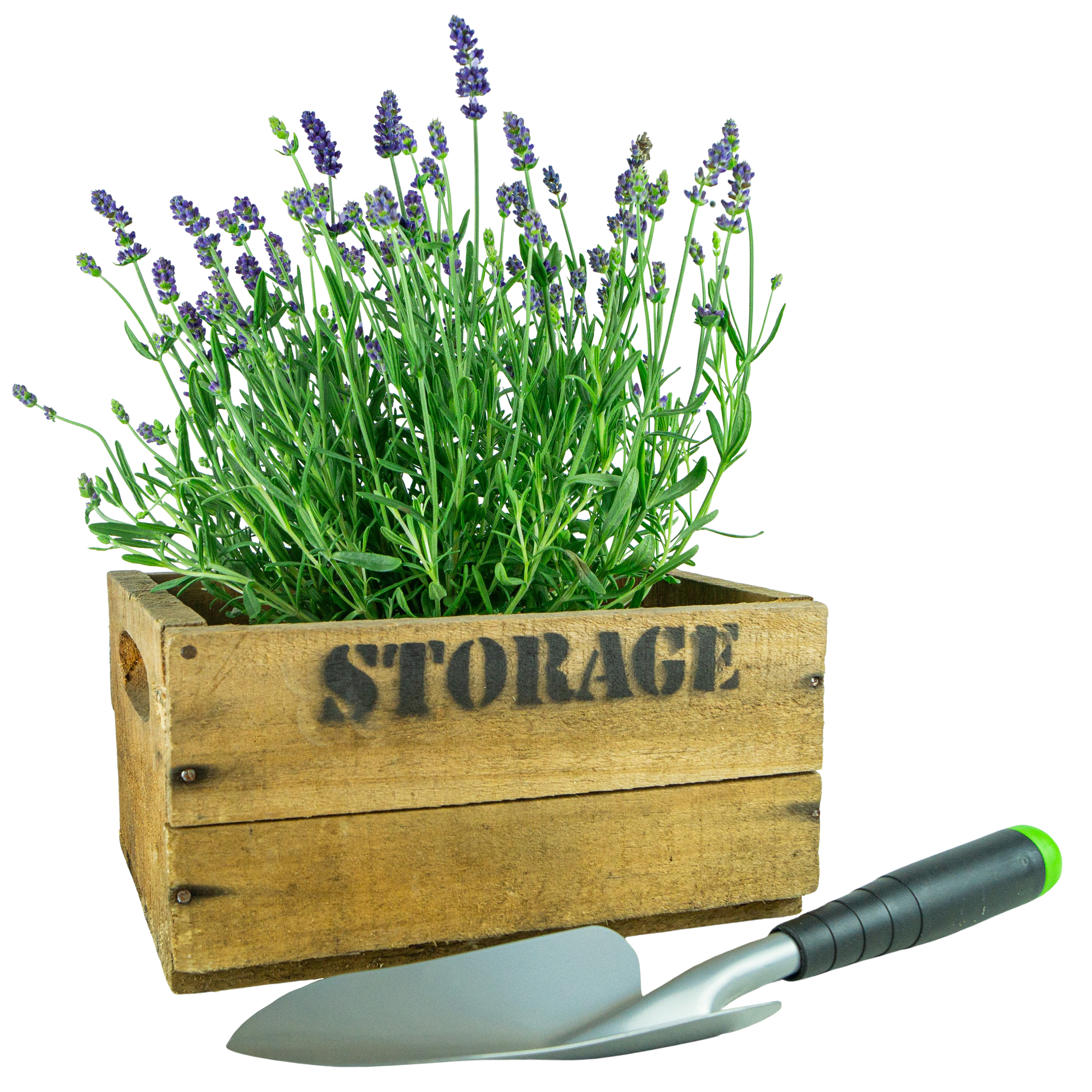 alte Holzkiste Storage in verschiedenen Grössen Vintage Upcycling DIY